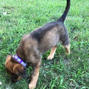 Meet your Posher, Amy